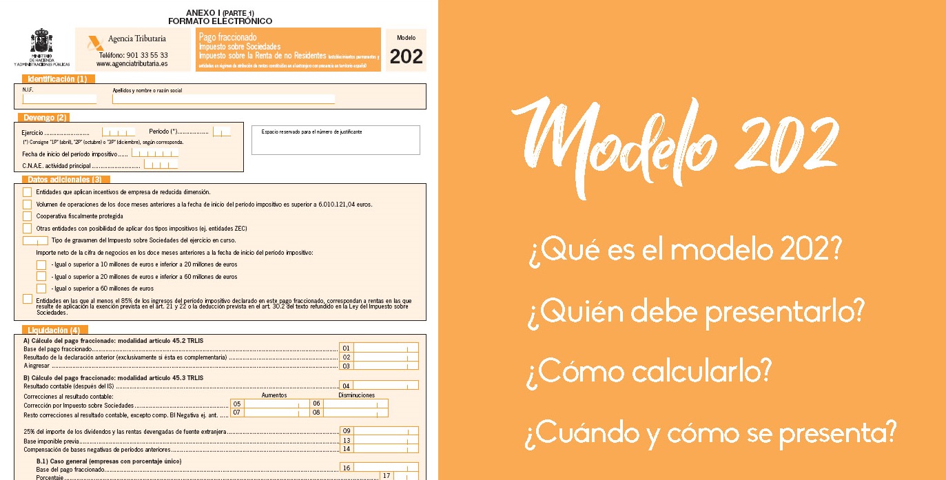 Modelo 202 ¡Tienes que saber ESTO!