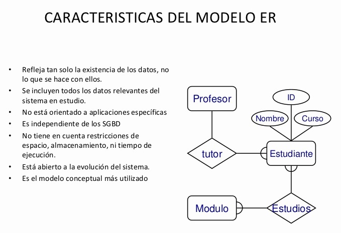 modelo entidad relación características