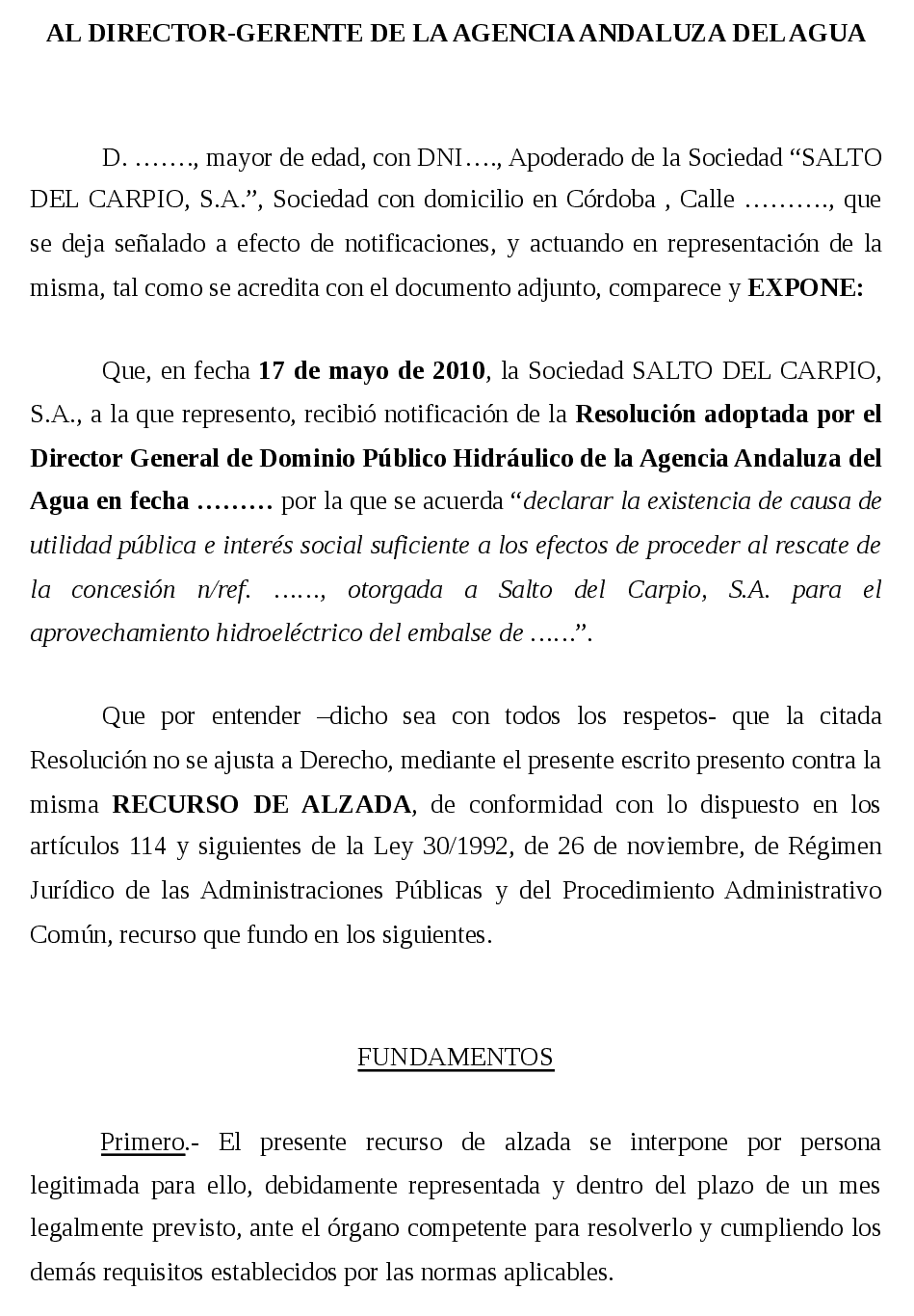 Modelo recurso de alzada ¡Tienes que saber ESTO!