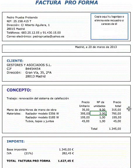 Modelo Factura Proforma Guia Ayuda 21